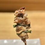 地葉はなれ - 2023.11.  はらみ