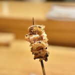 地葉はなれ - 2023.11.  足首