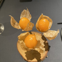 プレヴナンス - 