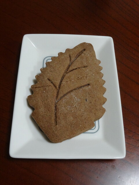 Ena Kawakamiya Hoshigaoka Ten photo 3