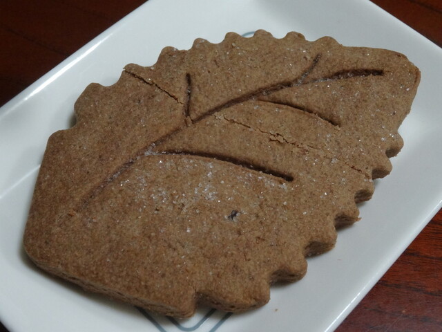 Ena Kawakamiya Hoshigaoka Ten photo 4