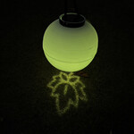 カープ - チョウチン