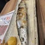 一丁 - 秋刀魚塩焼き