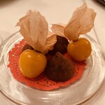 Le Physalis - 