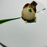 レフェルヴェソンス - 