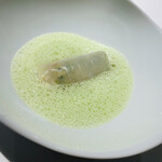 レフェルヴェソンス - 