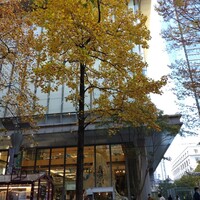 小岩井農場TOKYO  - 