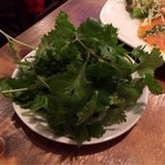 タイ国屋台食堂 ソイナナ - パクチー