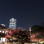国際文化会館 - 麻布台ヒルズと東京タワー