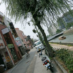 レストラン 西洋軒 - 堀川遊覧船も走る京橋川沿い。