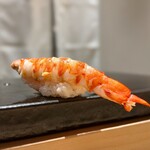 Sushi Akiha - 