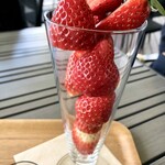 Strawberry Factory - 