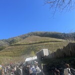 ココ・ファーム・ワイナリー - 