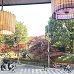 京の米料亭 八代目儀兵衛 - 2階からの景色