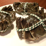 華家 - 上海蟹（調理前、まだ動いてました）