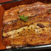 新宿うな鐵 はなれ -  新宿うな鐵 はなれ -