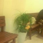 オカノカリー - なぜかベンチも設置してあります。開店直後(2013.11)なのでお祝いの花がいたるところに