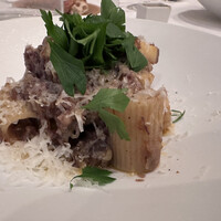 サーラ アマービレ -  サーラ アマービレ -