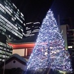 桃花林 - ここから2013,11月の2回目です。