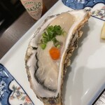 鍋錦 - 生牡蠣　タバスコは色味が変化だったのでかけるのやめた