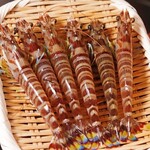 天富良 天露 - 車海老