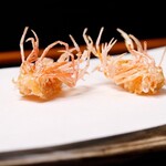 天富良 天露 - 車海老の天ぷら