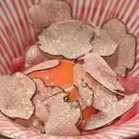 HIKARI - 