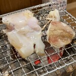 しんのすけ - 天然とらふぐ、ひいか