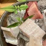 しんのすけ - 生本まぐろ_赤身、生本まぐろ_中とろ、太刀魚、うおぜ