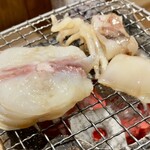 しんのすけ - 天然とらふぐ、ひいか