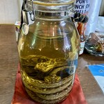 海人 - ハブの入ったハブ酒の瓶