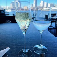 International cuisine subzero - 