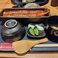 うなぎ四代目菊川 ミッドランドスクエア 名古屋本店 - 