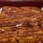 Unagi Semmon Tenai Kawa - 