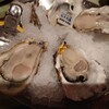 Oyster Bar ジャックポット 新宿