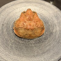 オッジ ダルマット 西麻布店 - 
