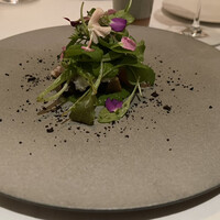 ARMONICO - 