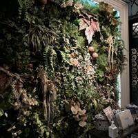 Shangri-La's secret ROPPONGI - 