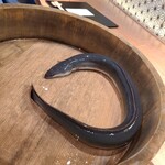 銀座 四代目 高橋屋 - 