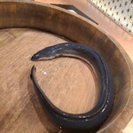 銀座 四代目 高橋屋 - 