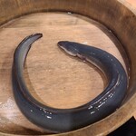 銀座 四代目 高橋屋 - 