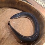 銀座 四代目 高橋屋 - 