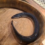 銀座 四代目 高橋屋 - 