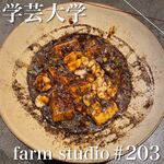 farm studio #203 - 