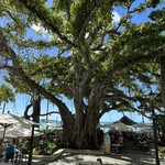 The veranda at The Beachhouse - 