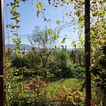 ユーカリット - 