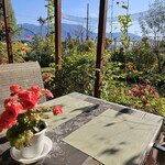 ユーカリット - 