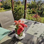 ユーカリット - 