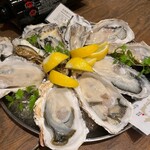 Oyster Lab - 