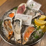 Oyster Lab - 